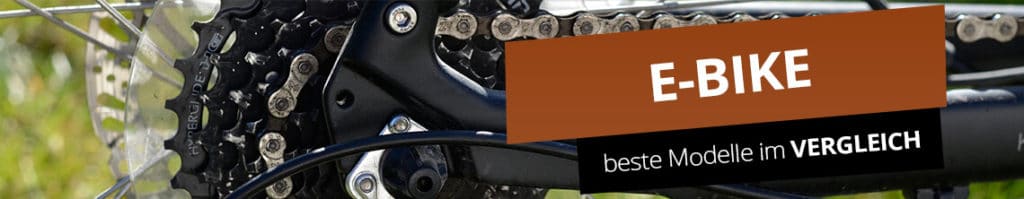 E-Bike Test