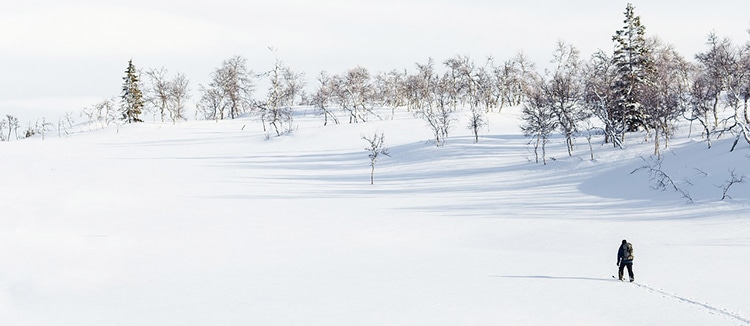 Wandern im Winter